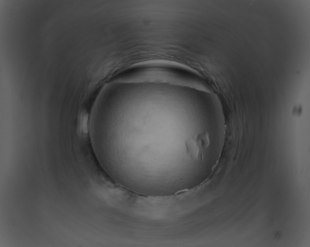 X0000093590041200710221532