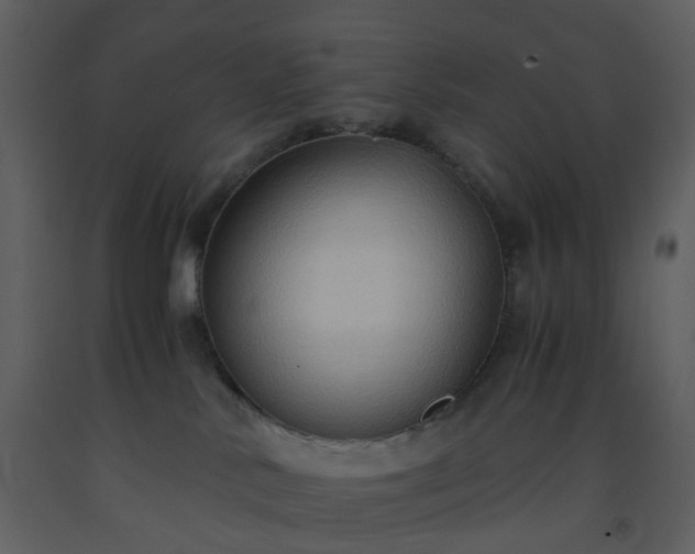 X0000093590042200710221532