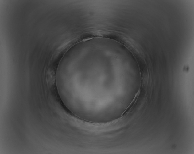 X0000093590043200710221532