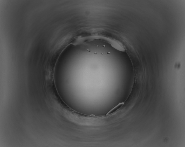 X0000093590044200710221532