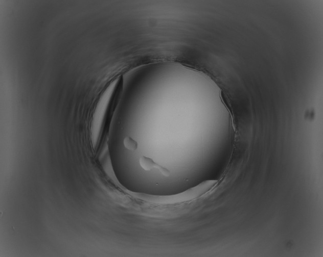 X0000093590045200710221532