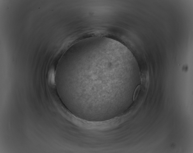 X0000093590046200710221532