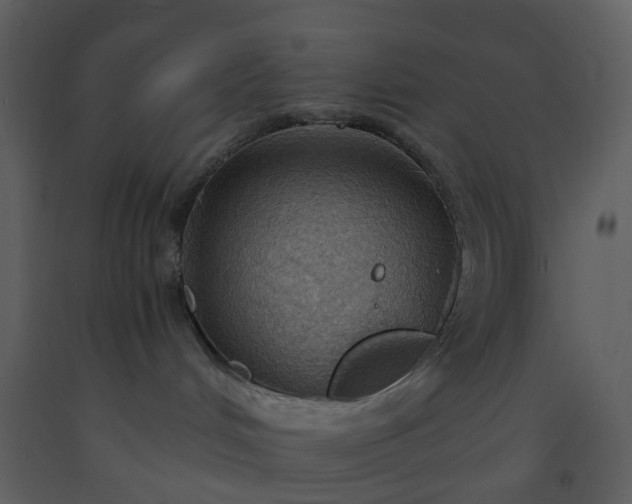 X0000093590048200710221532