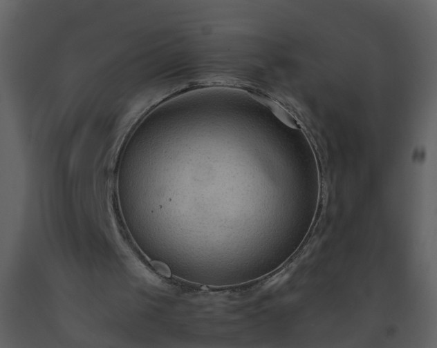 X0000093590049200710221531