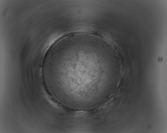 X0000093590050200710221531