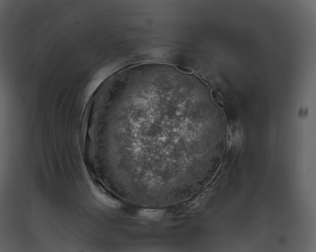 X0000093590051200710221531