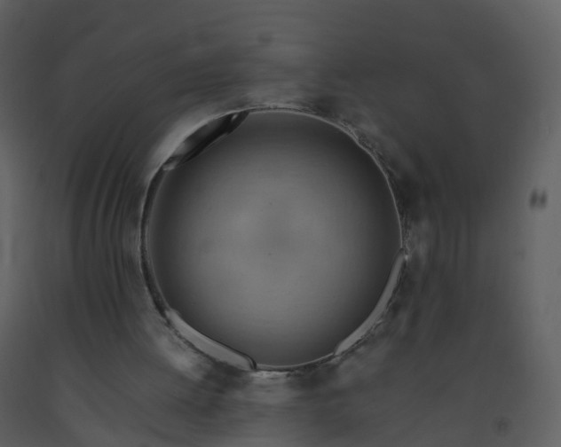 X0000093590052200710221531