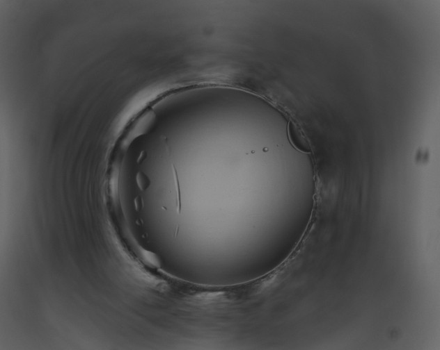 X0000093590054200710221531