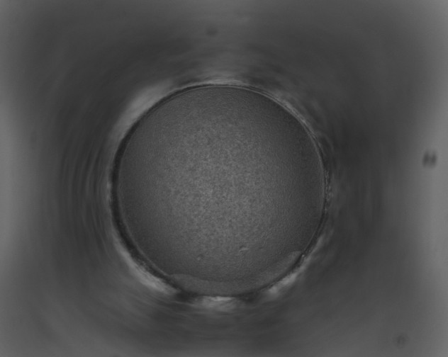 X0000093590055200710221531