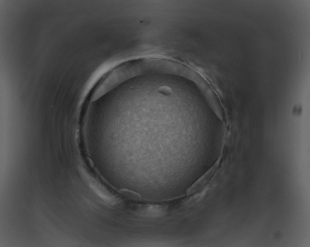 X0000093590056200710221531