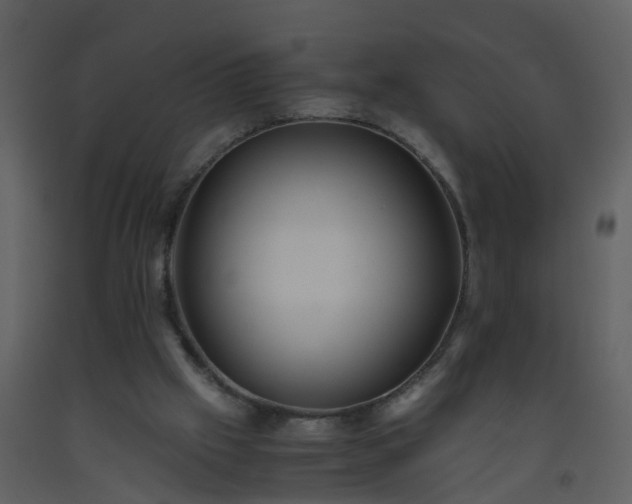 X0000093590057200710221531