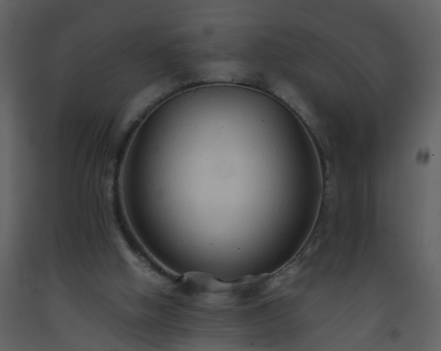 X0000093590058200710221531
