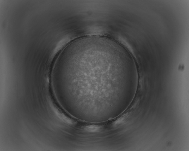 X0000093590059200710221531
