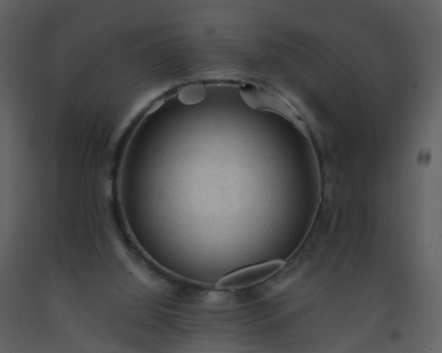 X0000093590060200710221531
