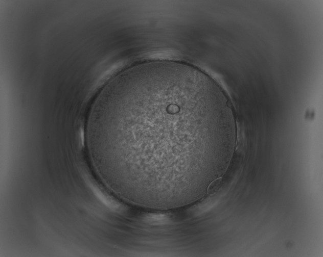 X0000093590061200710221531