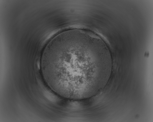 X0000093590062200710221531