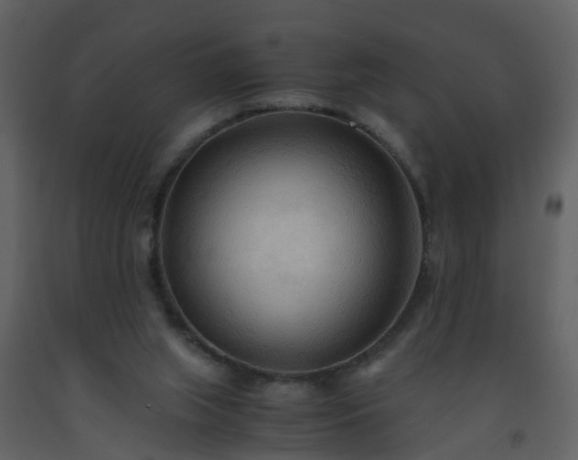 X0000093590063200710221531