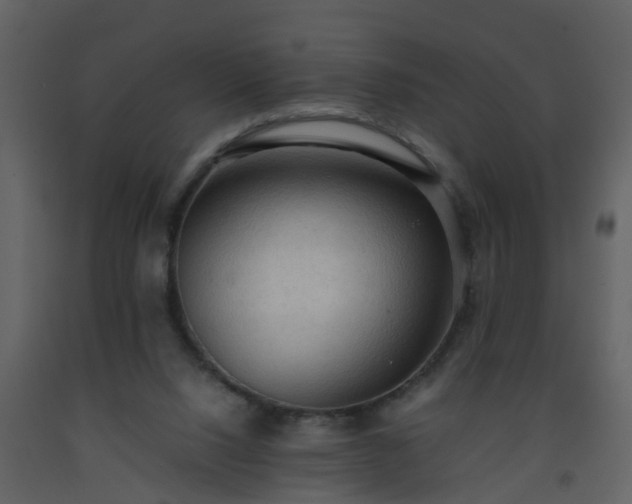 X0000093590064200710221531