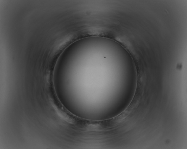 X0000093590066200710221531