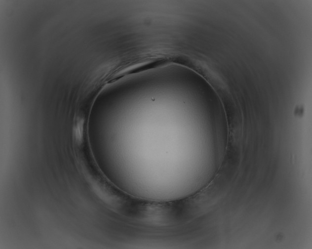 X0000093590070200710221532