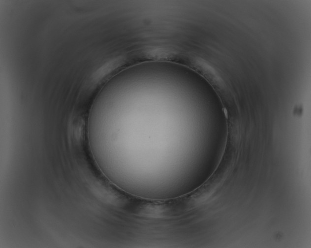 X0000093590071200710221532