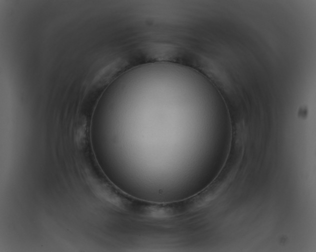 X0000093590073200710221532