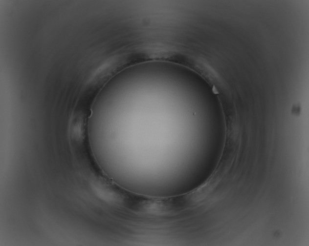 X0000093590074200710221532
