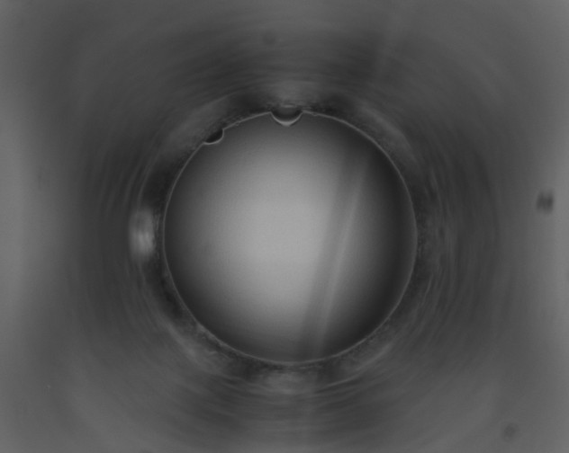 X0000093590075200710221532