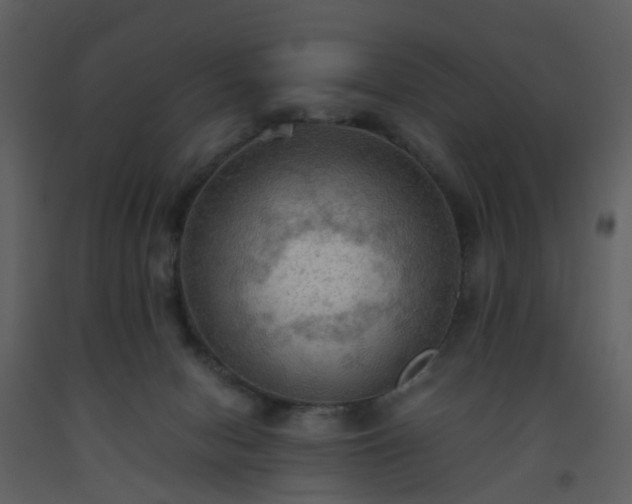 X0000093590078200710221532