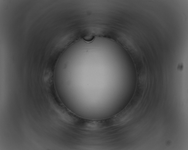 X0000093590079200710221532