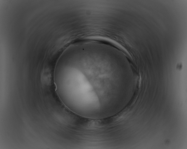 X0000093590080200710221532