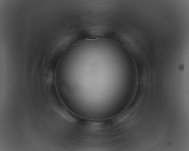 X0000093590081200710221532