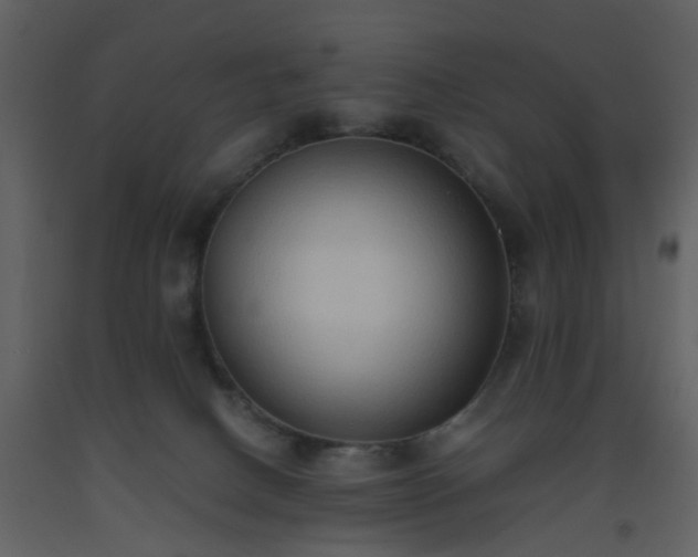X0000093590082200710221532