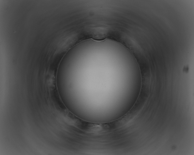 X0000093590083200710221532
