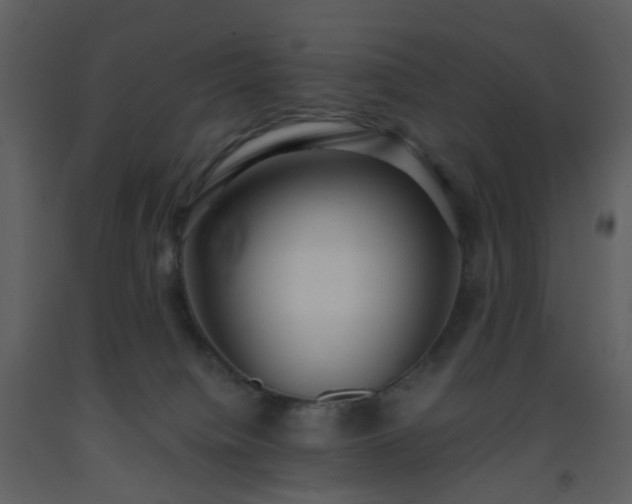 X0000093590084200710221532