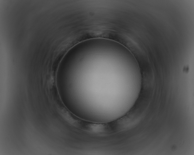X0000093590085200710221532