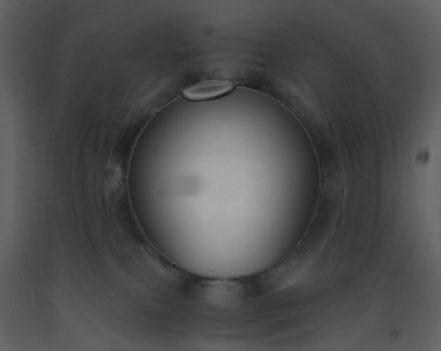 X0000093590087200710221532