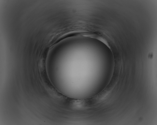X0000093590088200710221532