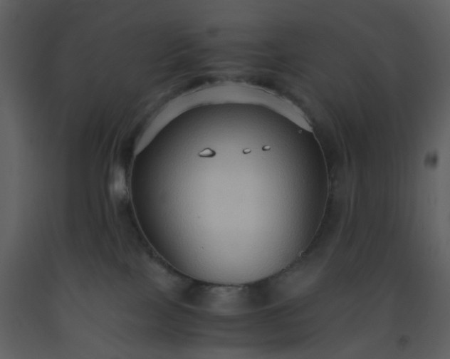 X0000093590089200710221532