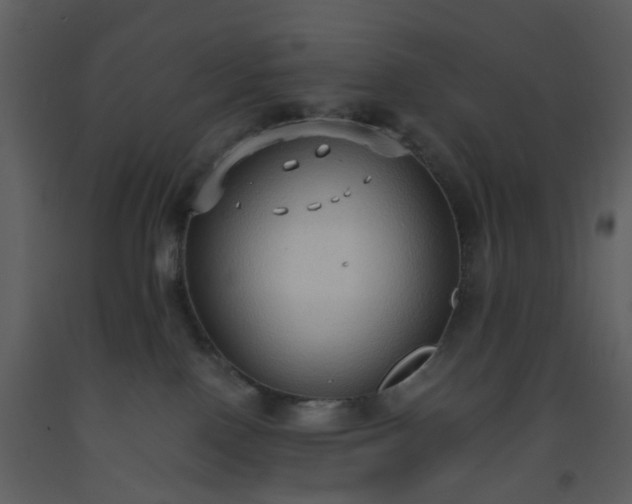 X0000093590090200710221532