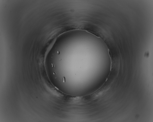 X0000093590092200710221532