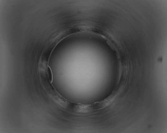 X0000093590093200710221532