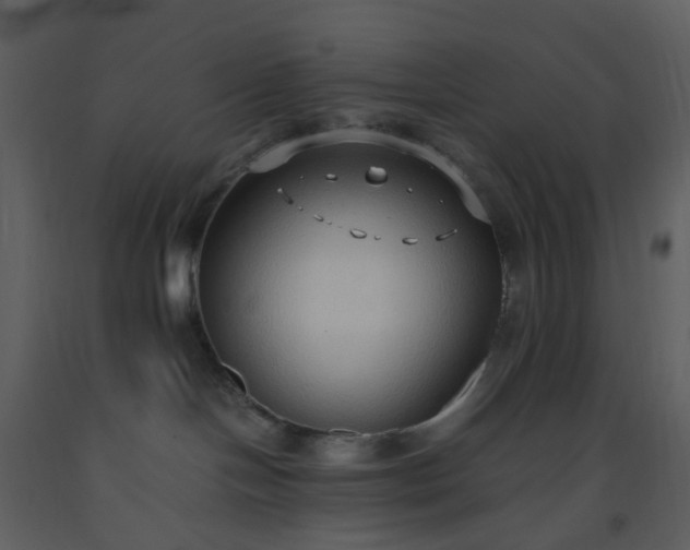 X0000093590094200710221532