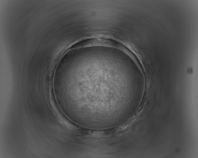 X0000093590097200710221531