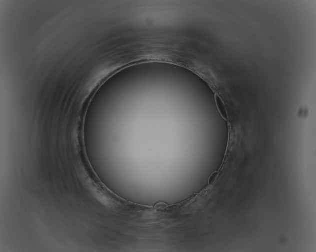 X0000093590098200710221531