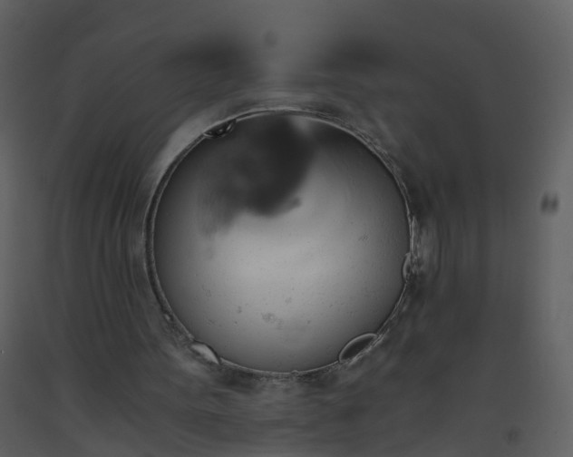 X0000093590099200710221531