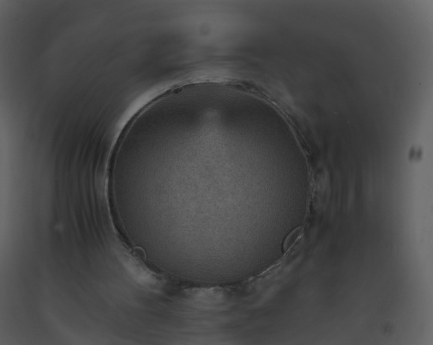 X0000093590100200710221531