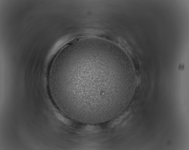 X0000093590101200710221531