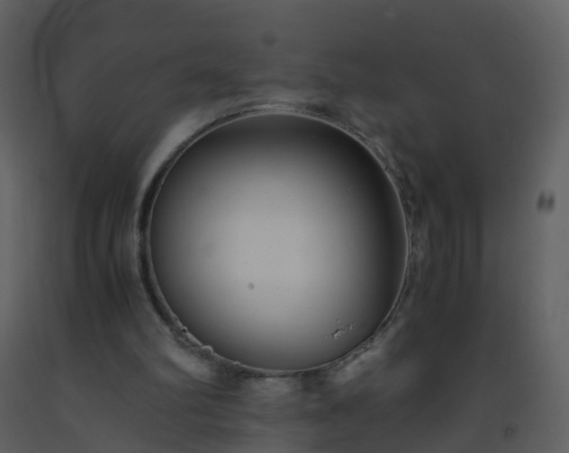 X0000093590102200710221531