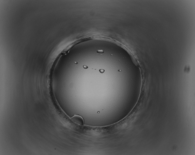 X0000093590103200710221531